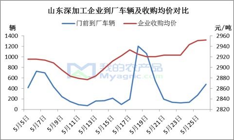 “玉米市場漲看山東，跌看廣東”這句老話如今還適用嗎？