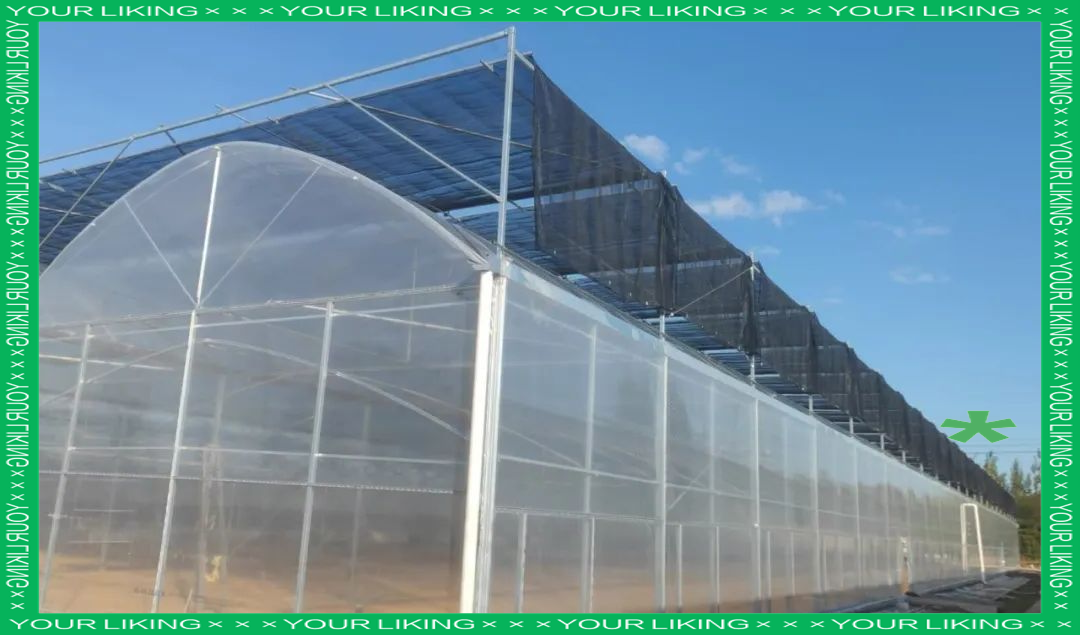 連棟薄膜溫室大棚項目火熱施工中，大棚薄膜技術助力現代農業