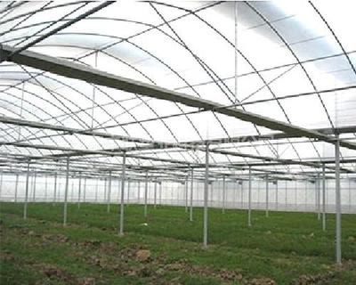 中聯(lián)塑料蔬菜大棚膜 價(jià)格與應(yīng)用解析