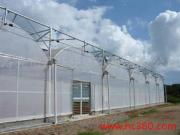 走進(jìn)壽光富華連棟薄膜溫室 科技農(nóng)業(yè)的綠色畫(huà)卷