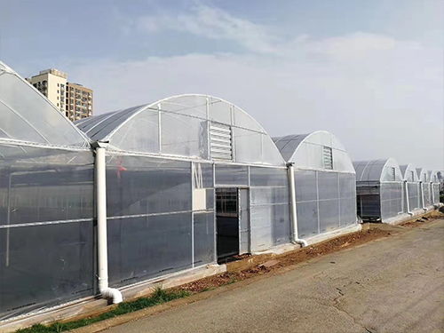 夢(mèng)洋溫室薄膜 專(zhuān)業(yè)訂制，助力花卉溫室高產(chǎn)高效