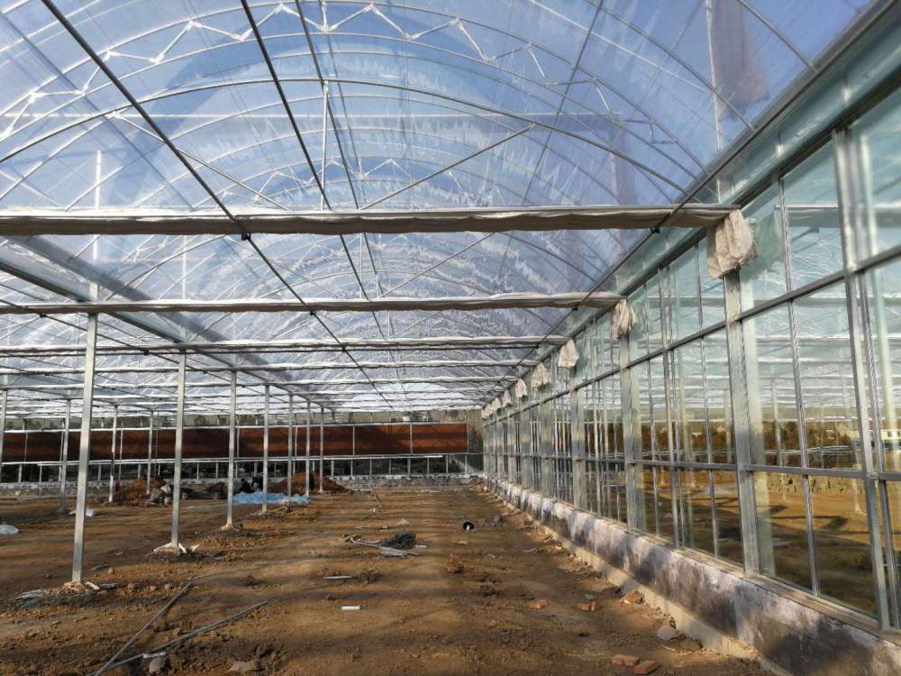 雙層膜溫室大棚的優勢與山東專業生產廠家推薦